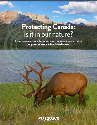 Parks_Report_2015_Cover_Thumb